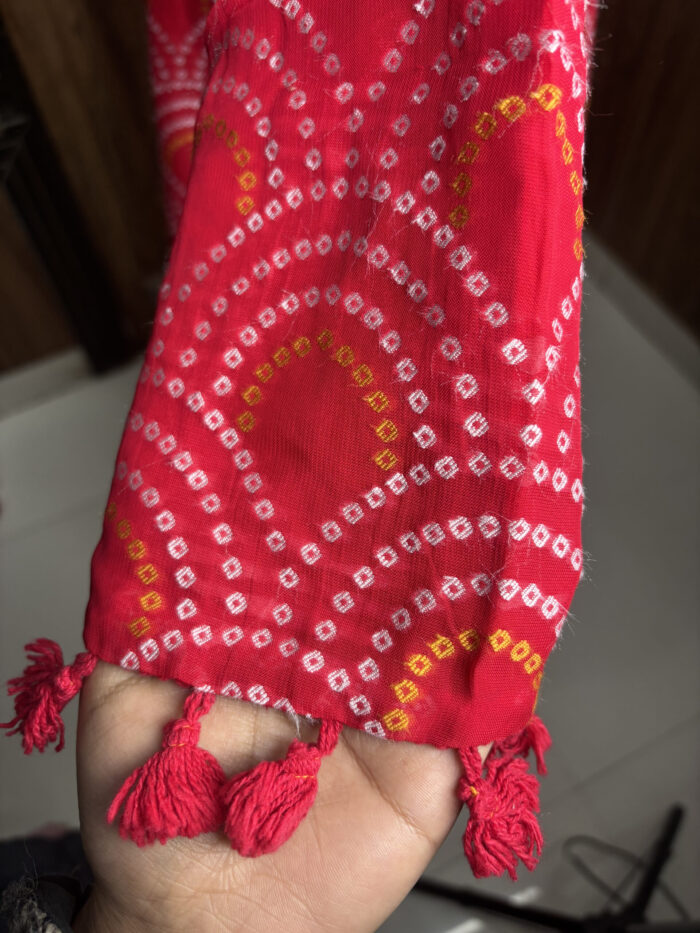 Red Bandhani Printed Embroidered Sharara - Image 5