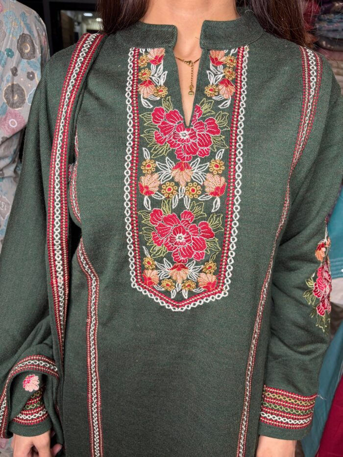 Green Chili Suit Fabric Knitted - Image 3