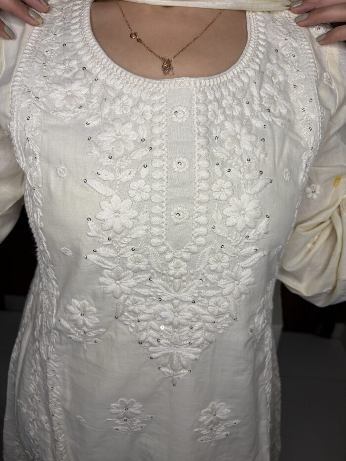 Checken Anarkali - Image 3