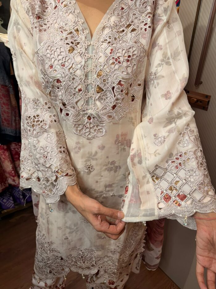 Elegant Pakistani Suit - Image 6
