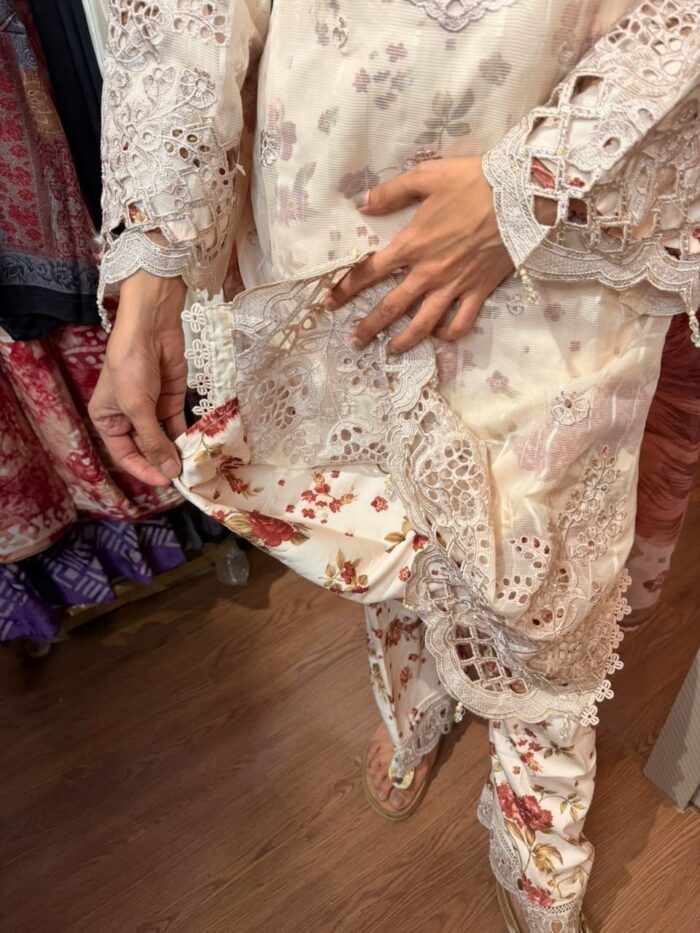 Elegant Pakistani Suit - Image 4